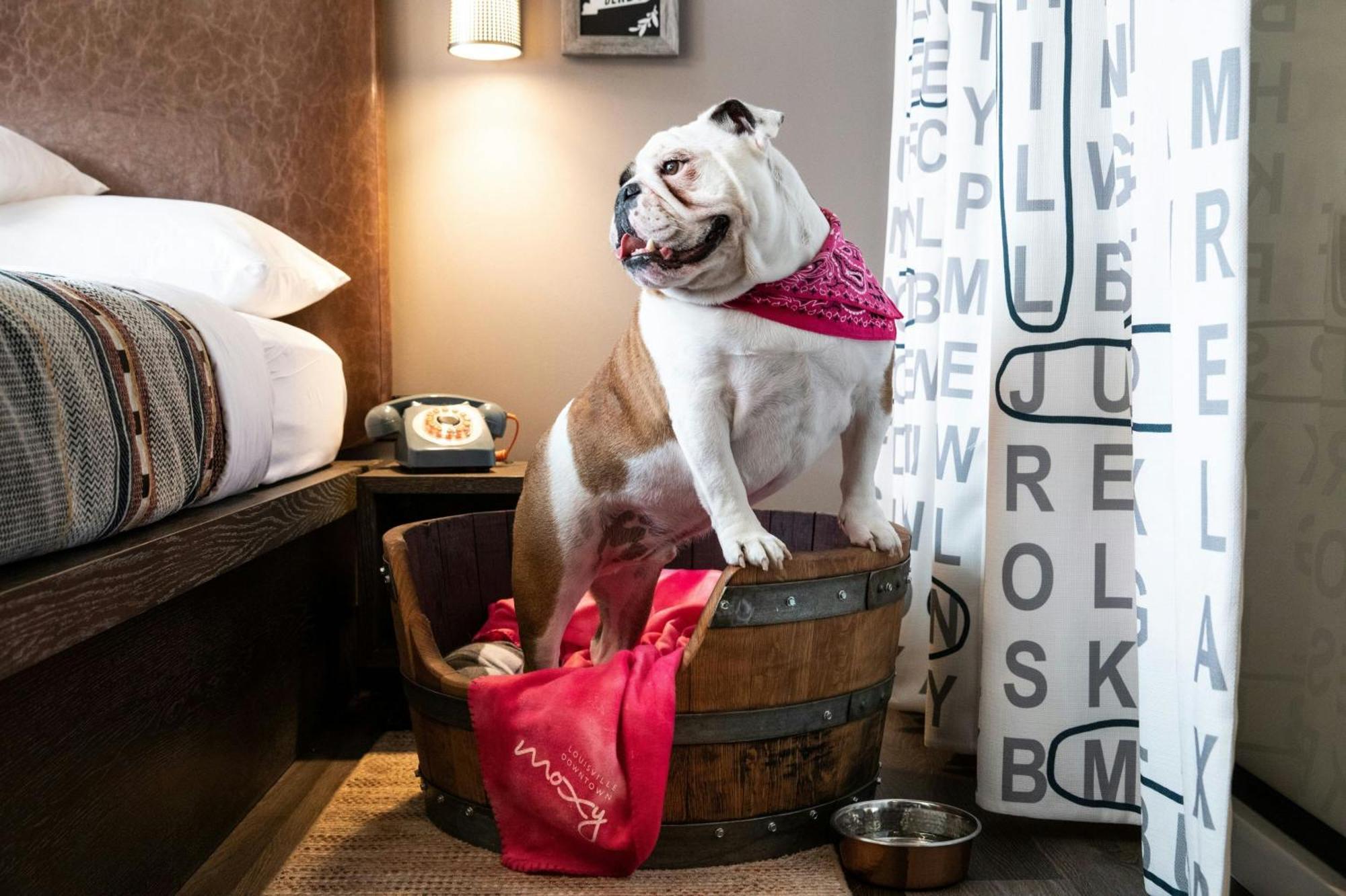 Moxy Louisville Downtown Exteriér fotografie